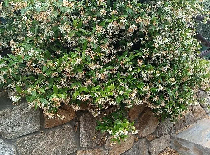 Athos Bay Casa de hóspedes 3*