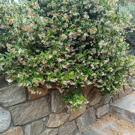 Athos Bay Konukevi 3*