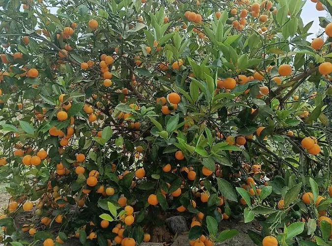 Athos Bay Gasthuis 3*